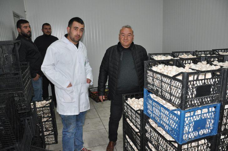 Devlet desteğiyle mantar üretim tesisi kuran çiftçi, 20 kişiyi istihdam ediyor G3