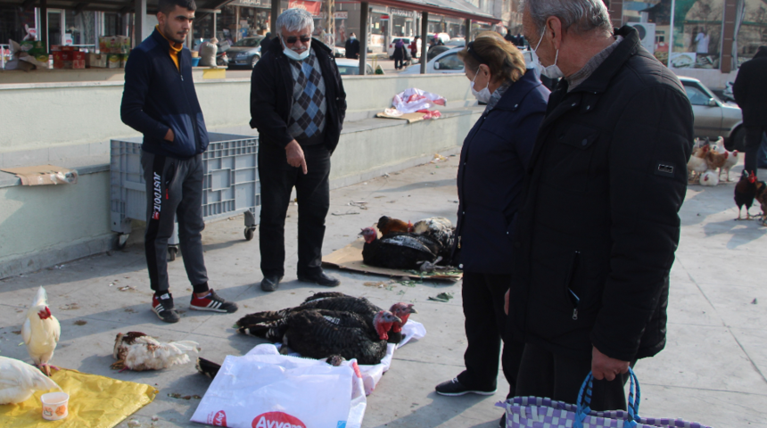 Yılbaşının vazgeçilmezi hindi, fiyatıyla cep yakıyor! Vatandaş sorup geçiyor