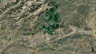 Genç kurt 6 ayda Kars ile Edirne arasındaki mesafeye yakın yol yürüdü