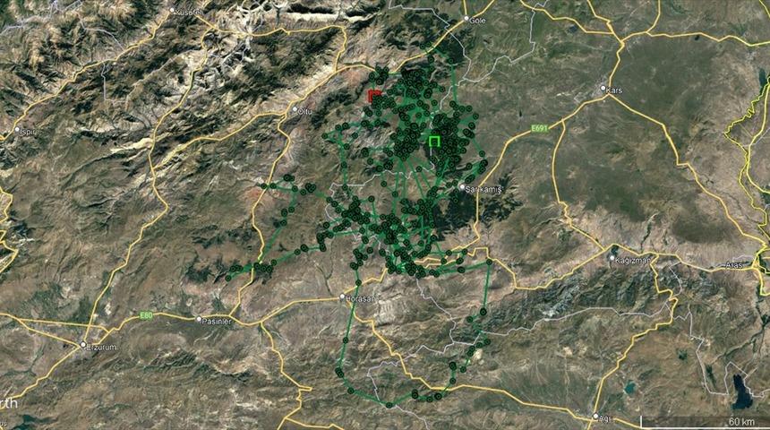 Genç kurt 6 ayda Kars ile Edirne arasındaki mesafeye yakın yol yürüdü