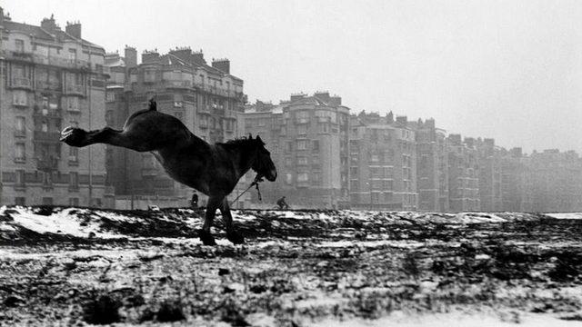 1952'de ünlü fotoğrafçılar Robert Doisneau ve Edward Steichen ile tanıştı ve Rapho fotoğraf ajansına katıldı. Bu resim Paris'teki Porte de Vanves'den.