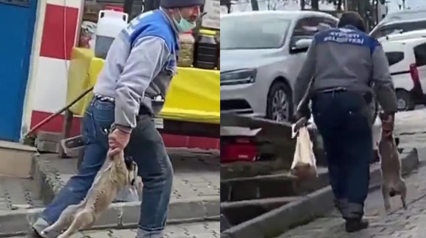 Görüntüler tepki çekmişti! Yavru köpeği patilerinden tutup taşıyan işçiye ceza