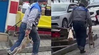 Görüntüler tepki çekmişti! Yavru köpeği patilerinden tutup taşıyan işçiye ceza