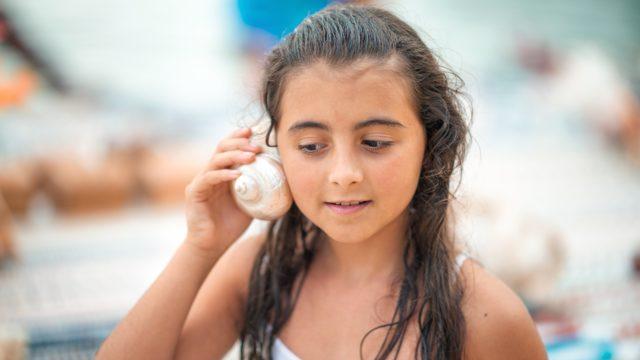 Mauritius neden deniz kabuklarını kaybediyor? 1