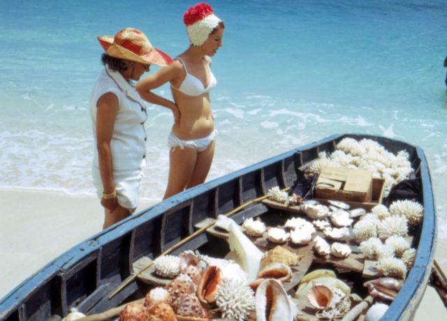 Mauritius neden deniz kabuklarını kaybediyor? 4