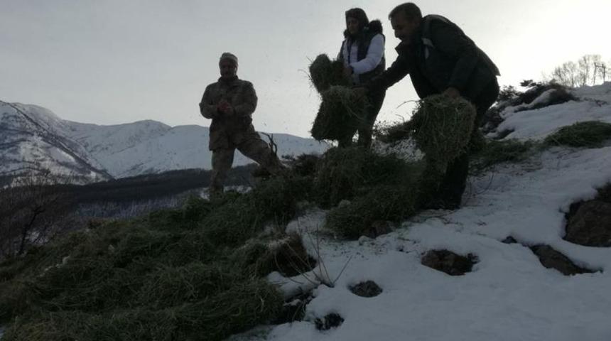 Tunceli’de yaban hayvanları için doğaya yem bırakıldı