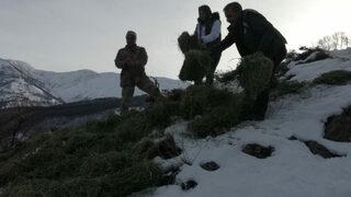 Tunceli’de yaban hayvanları için doğaya yem bırakıldı