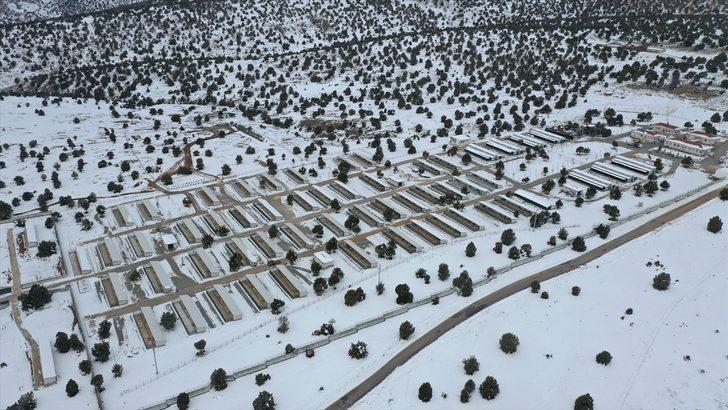 Konya'da sahipsiz sokak hayvanları "yerden ısıtmalı" bakım odalarında ağırlanıyor G2