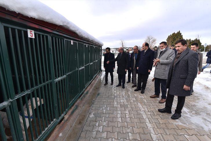 Konya'da sahipsiz sokak hayvanları "yerden ısıtmalı" bakım odalarında ağırlanıyor G3