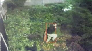 Aleyna Tilki'ye korku dolu anlar yaşatmıştı! Saplantılı hayranı kamerada