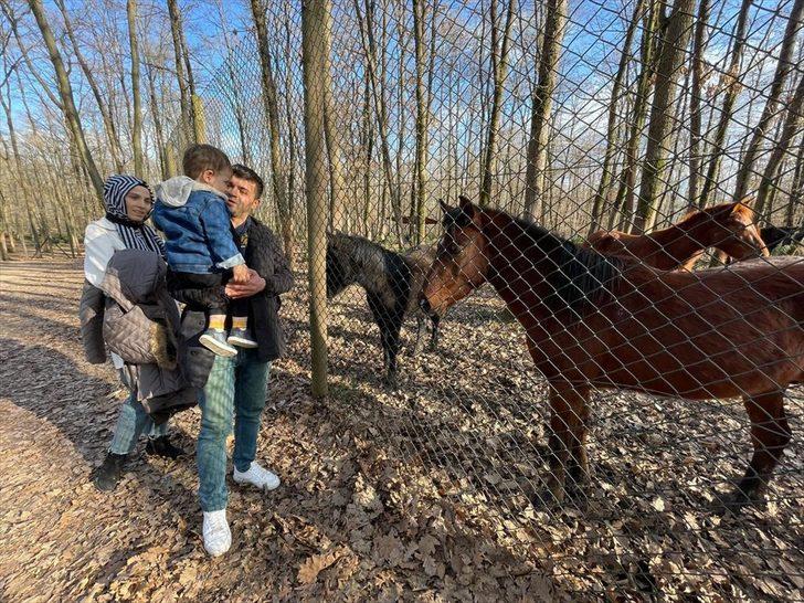 Avrupa'nın en büyük doğal yaşam parkı geçen yıl 6,5 milyon ziyaretçi ağırladı G5