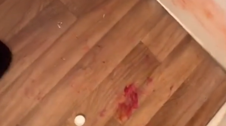 Köpeğini pembeye boyamak isteyen fenomen Isa Beastly’e sosyal medyada tepki yağdı