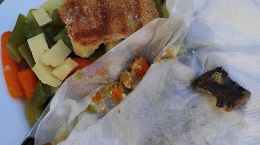 Kabusu yaşadı! Enginar yemeğinin arasından fare çıkınca şoke oldu 