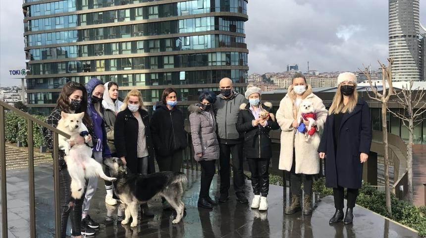 Son Dakika: Kadıköy’de lüks sitede sokak köpeği tartışması! "Samuray kılıcıyla doğrarım"