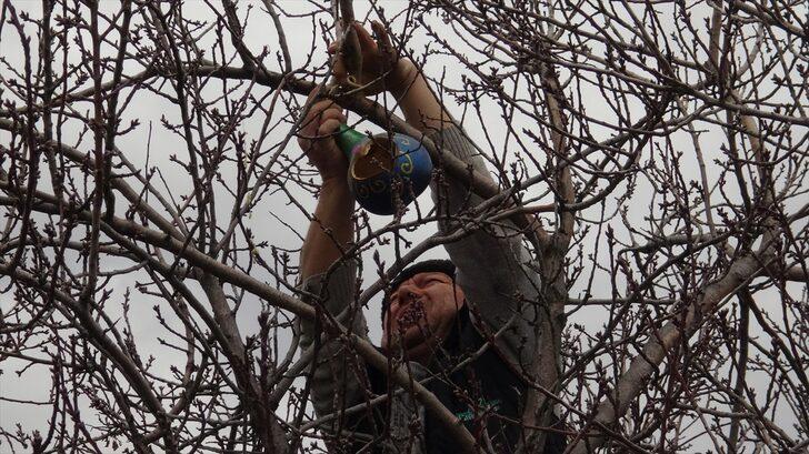 El sanatları ustası çift, yabani kuşlar için su kabağından yuva yapıyor G5