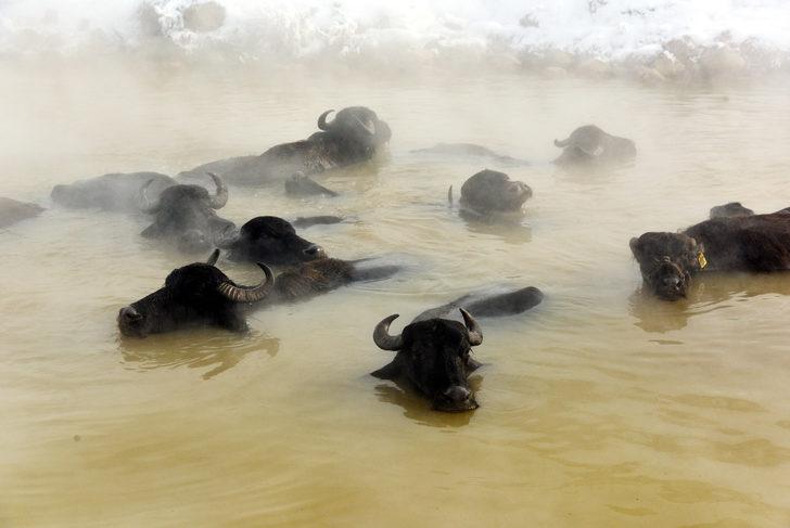 Sıfırın altında 20 derecede ilginç görüntüler! Sıcaklığı 35-40 derece G4