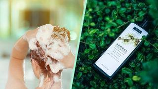 Yağlı saç sorununuzu kökünden çözecek yağlı saçlar için en iyi şampuan tavsiyeleri 2023