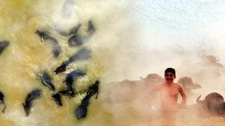 Sıfırın altında 20 derecede ilginç görüntüler! Sıcaklığı 35-40 derece