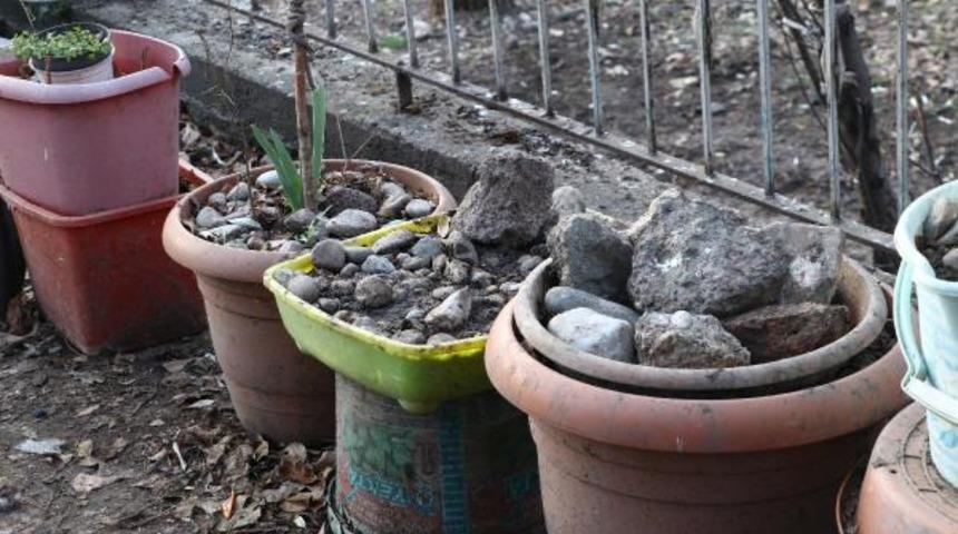 Son Dakika: Ankara'da kan donduran iddia! Çöp evde ölen köpekleri saksılara saklamış