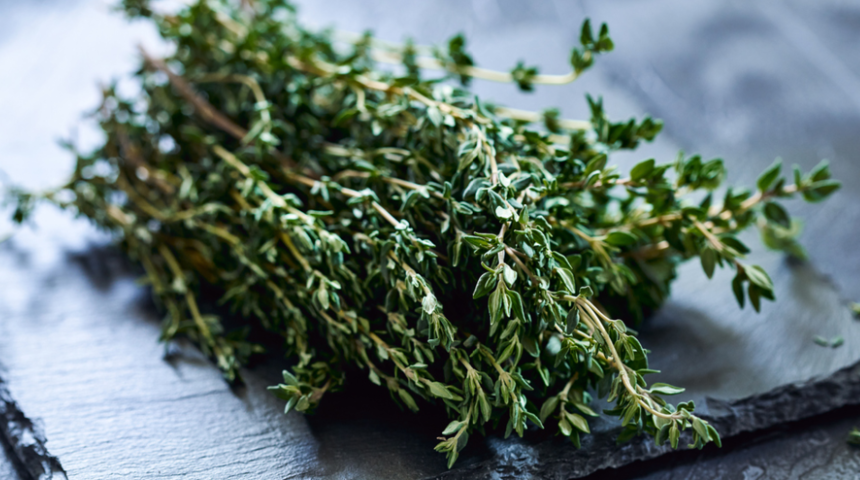 Aydın dağlarından toplanıyor! Yarım çay bardağı içildiğinde o hastalığa şifa oluyor