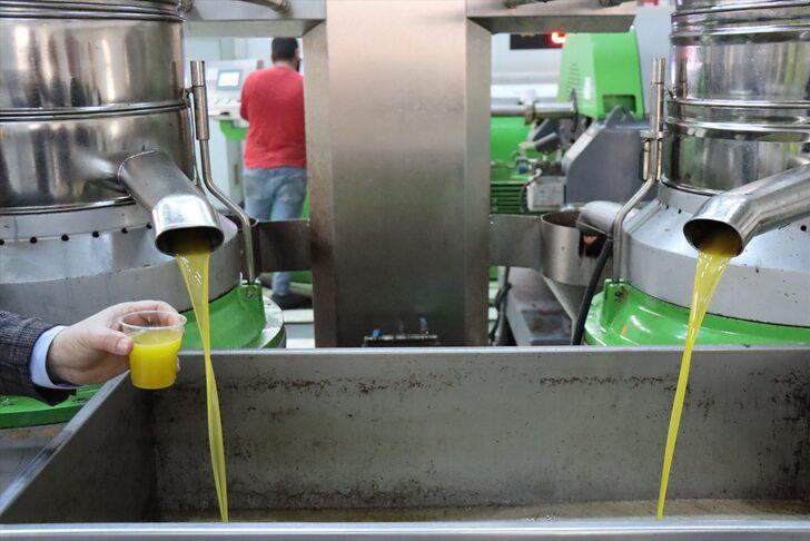 Tescilli Kilis zeytinyağına talep yoğun G3