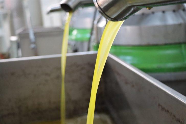 Tescilli Kilis zeytinyağına talep yoğun G4