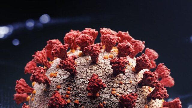 Omicron varyantı: Semptom gösteren ve temaslı kişiler ne yapmalı?