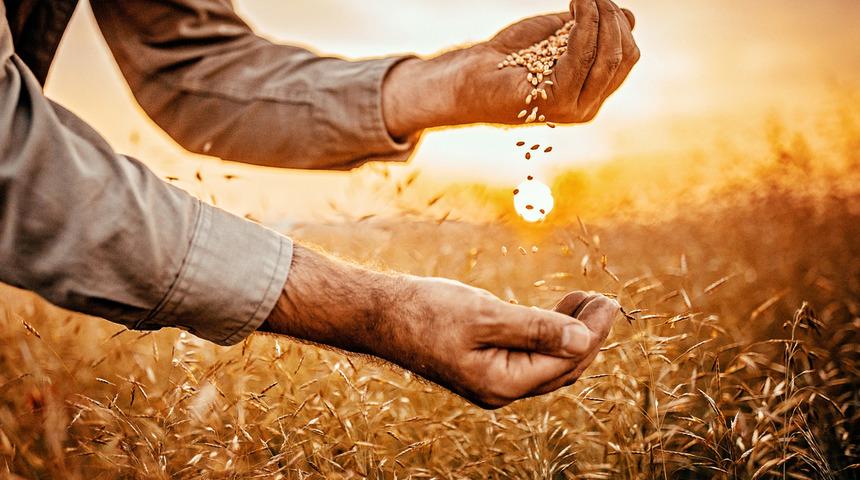 Flaş karar! Rusya, tahıl ve şeker ihracatını yasakladı