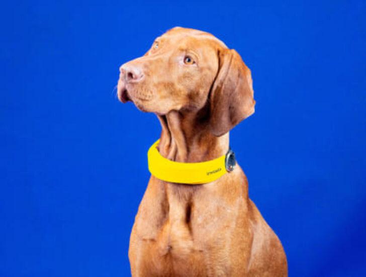 CES 2022'de tanıtılan ilginç ürünler: Çok şaşıracaksınız! G5