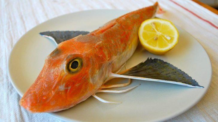Kırlangıç balığı nasıl yapılır? MasterChef kırlangıç balığı çorbası tarifi!