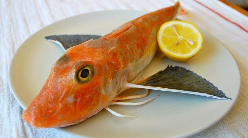 Kırlangıç balığı nasıl yapılır? MasterChef kırlangıç balığı çorbası tarifi!