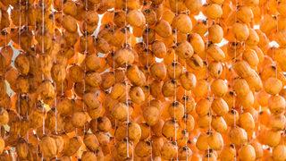 Yeni sarı altın: Trabzon hurmasına talep fazla 