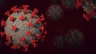 Son Dakika: Omicron varyantında pik seviye için Prof. Dr. Alper Şener tarih verdi!