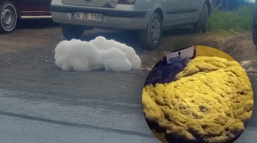 Yer: İstanbul! Bir mahalle diken üstünde: Kaynıyor, sürekli çoğalıyor