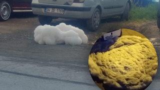 Yer: İstanbul! Bir mahalle diken üstünde: Kaynıyor, sürekli çoğalıyor