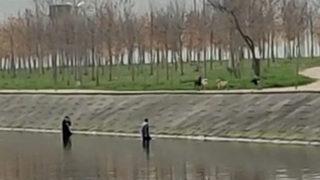 Köpek korkusu bunu da yaptırdı! Dere içinde köpeklerin gitmesini beklediler