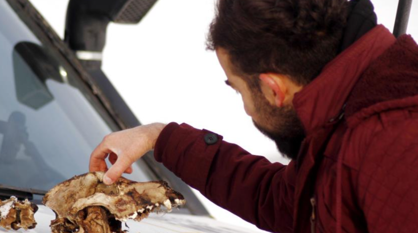 Hakkari'de korkunç olay! İşe giderken hayatının şokunu yaşadı: Geriye sadece kafatası kalmış