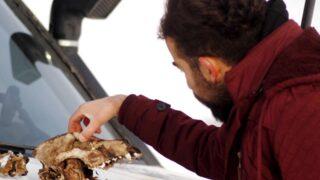 Hakkari'de korkunç olay! İşe giderken hayatının şokunu yaşadı: Geriye sadece kafatası kalmış