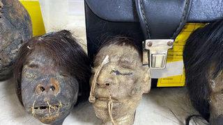 İzmir'de bulunmuşlardı! Kesik başlardaki iplerin gizemi çözüldü