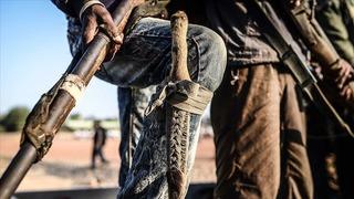 Nijerya'da ordunun operasyonunda 2 Boko Haram üyesi etkisiz hale getirildi