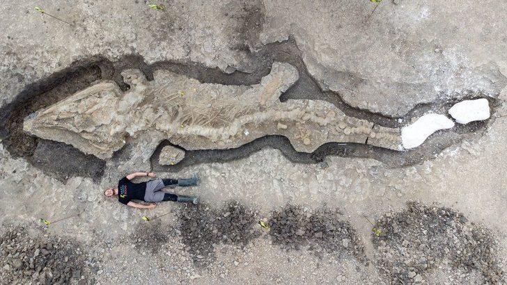 İngiltere'de dev 'deniz ejderhası' fosili bulundu