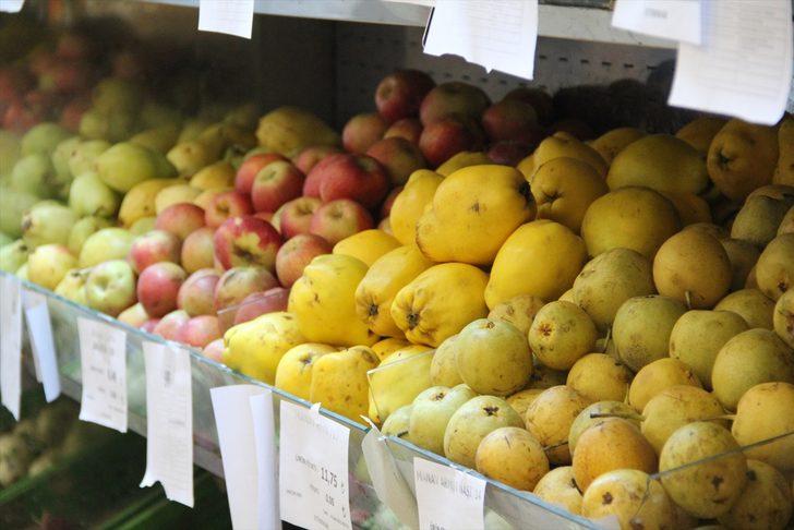 Yaş meyve ve sebze ihracatçısının geçen yıl gözdesi Rusya oldu G2