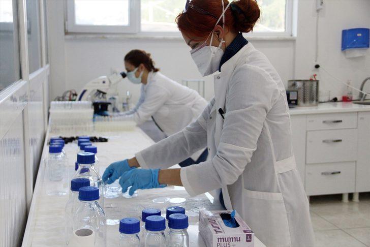 Tüberkülozda erken tanı sürecini hızlandıran yeni yöntem kullanıma sunulacak G2