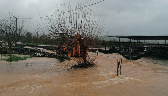 Muğla Bodrum'da sel felaketi! Kırmızı alarm verildi... Telefonlara mesaj gönderiliyor: Evden çıkmayın
