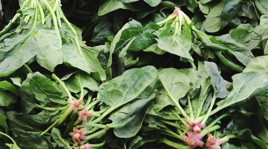 Bu hataya sakın düşmeyin! Tekrar ısıttığınızda ölümcül derecede zararlı olabilecek 7 yiyecek