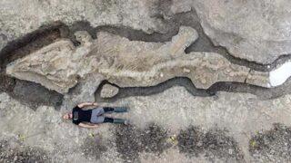 İngiltere’nin Rutland Parkı'nda 10 metrelik ihtiyozor fosili bulundu! Keşif görenlerini heyecanlandırdı