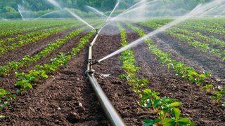 Bakan Pakdemirli duyurdu: Hibe desteği başvuruları başladı