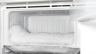 Japonya'da korkunç olay! Babası 2 aylık bebeği eksi 18 derecedeki dondurucuya kapattı