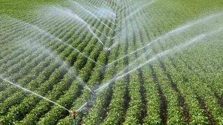 Hibe desteği başvuruları başladı mı? Hibe desteği başvurusu nasıl yapılır?