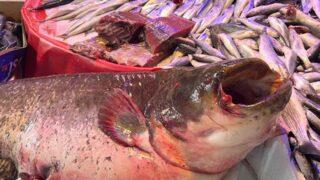 Kızılırmak'ta tutuldu, Eskişehir'de tezgaha düştü! 70 liradan satışa çıkardı